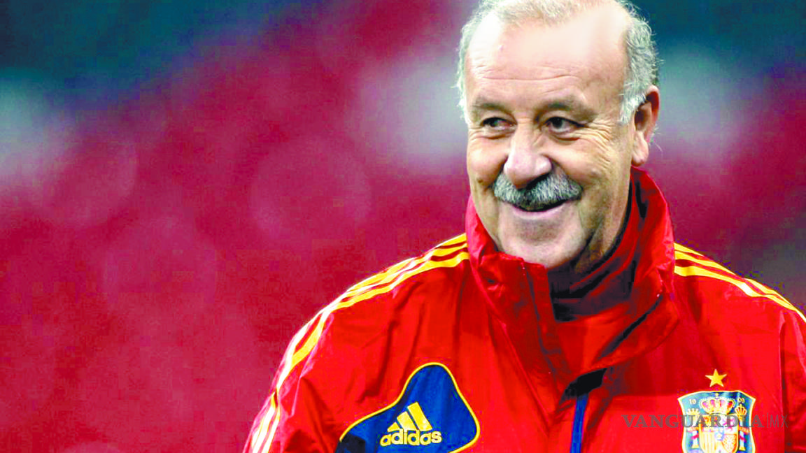 El final de un ciclo de la Roja; Del Bosque se va