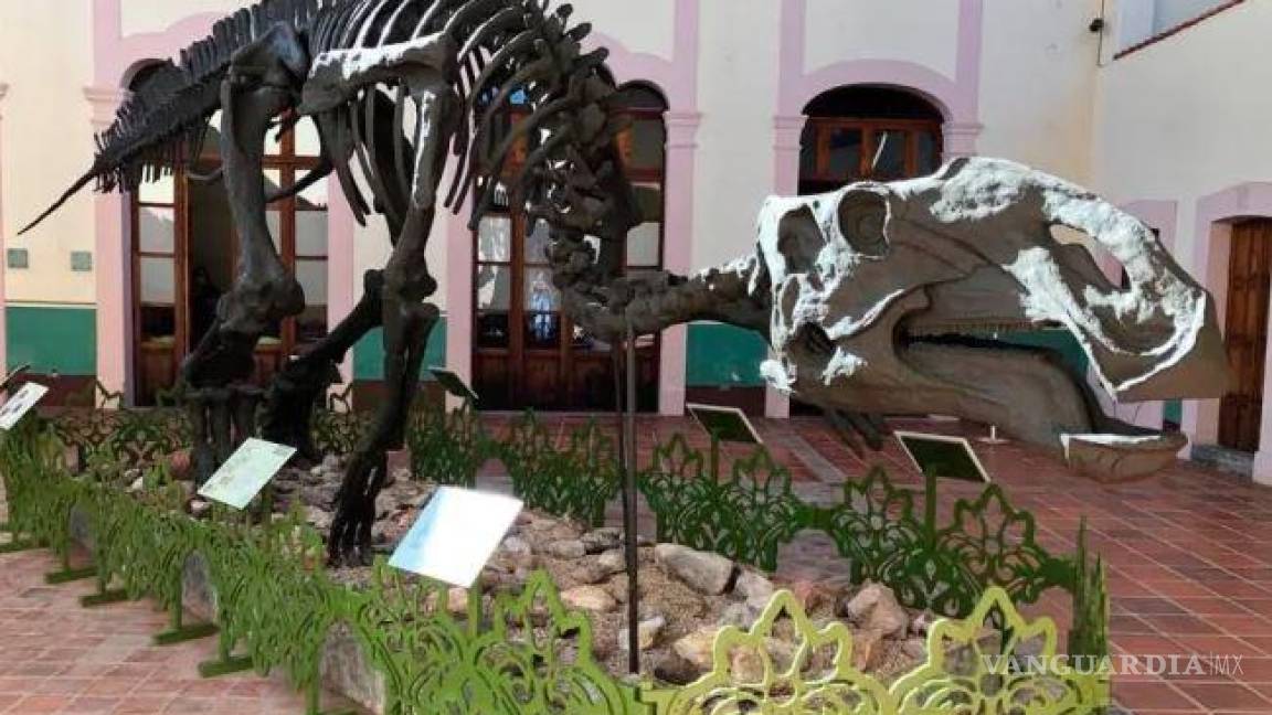 Llega el ‘sabinosaurio’ coahuilense al museo de Antropología de la CDMX