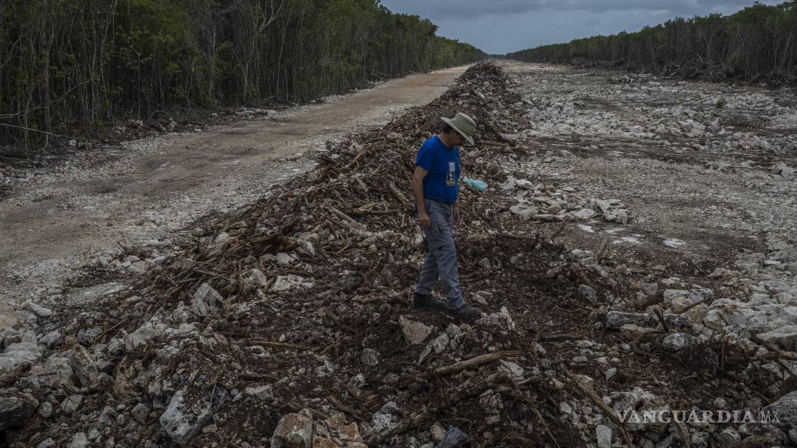 Advierten expertos sobre peligros del Tren Maya