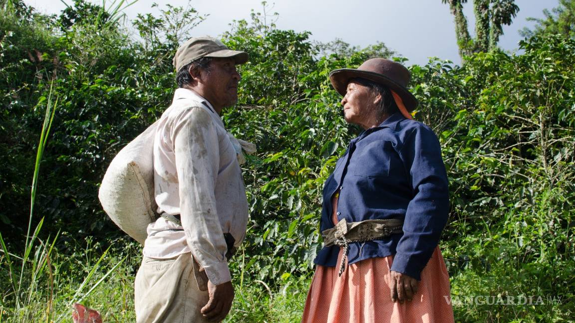 $!Asegura activista que países consumidores de café "perpetúan pobreza”