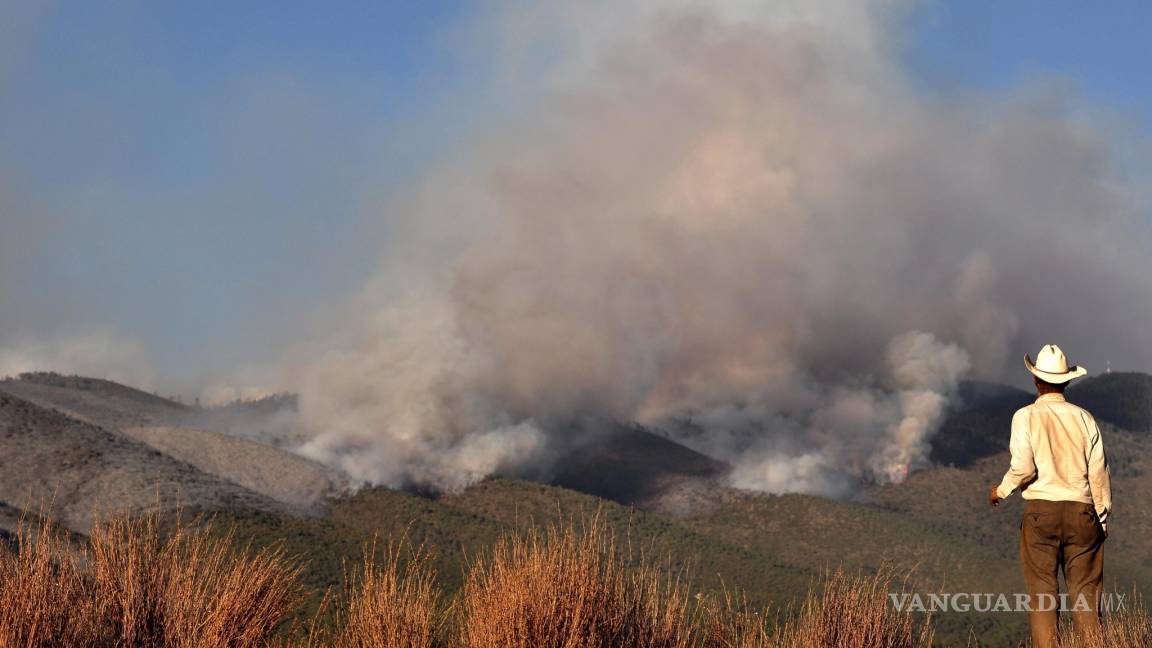 Es Coahuila el estado con más daños por incendios forestales en los últimos ocho años