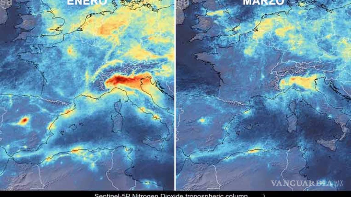 $!Con los humanos en casa... estos son los inesperados beneficios del coronavirus al medio ambiente