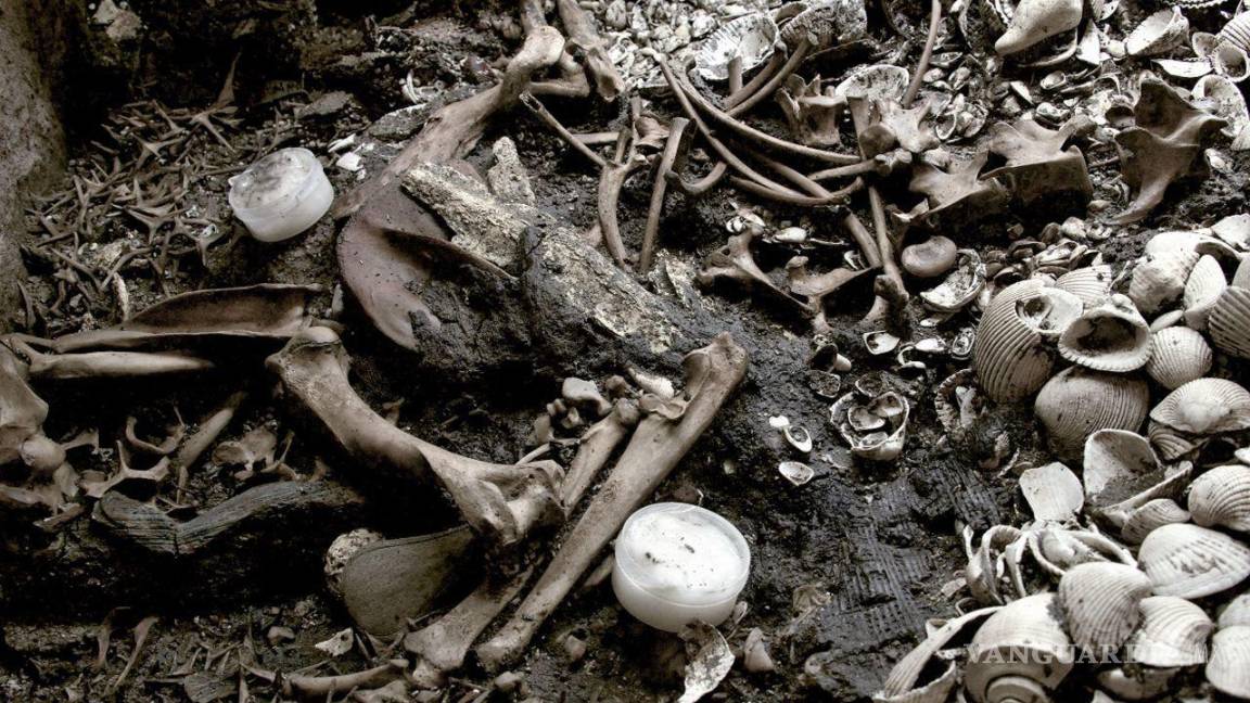 $!Arqueólogos hallan el más grande depósito de estrellas de mar descubierto, hasta ahora, en el Templo Mayor.Cuartoscuro/INAH