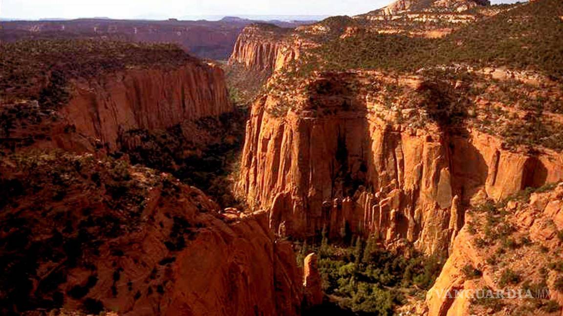 Sobrevive menor tras caer 30 metros en el Gran Cañón