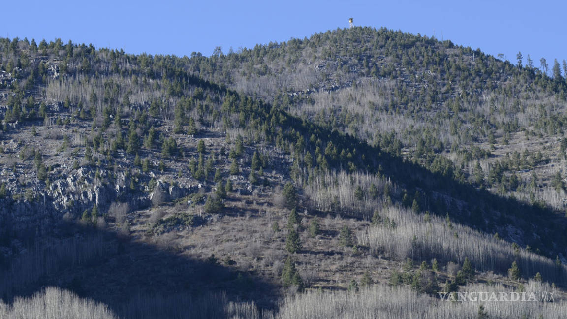 $!Nieve brilla por su ausencia en Arteaga