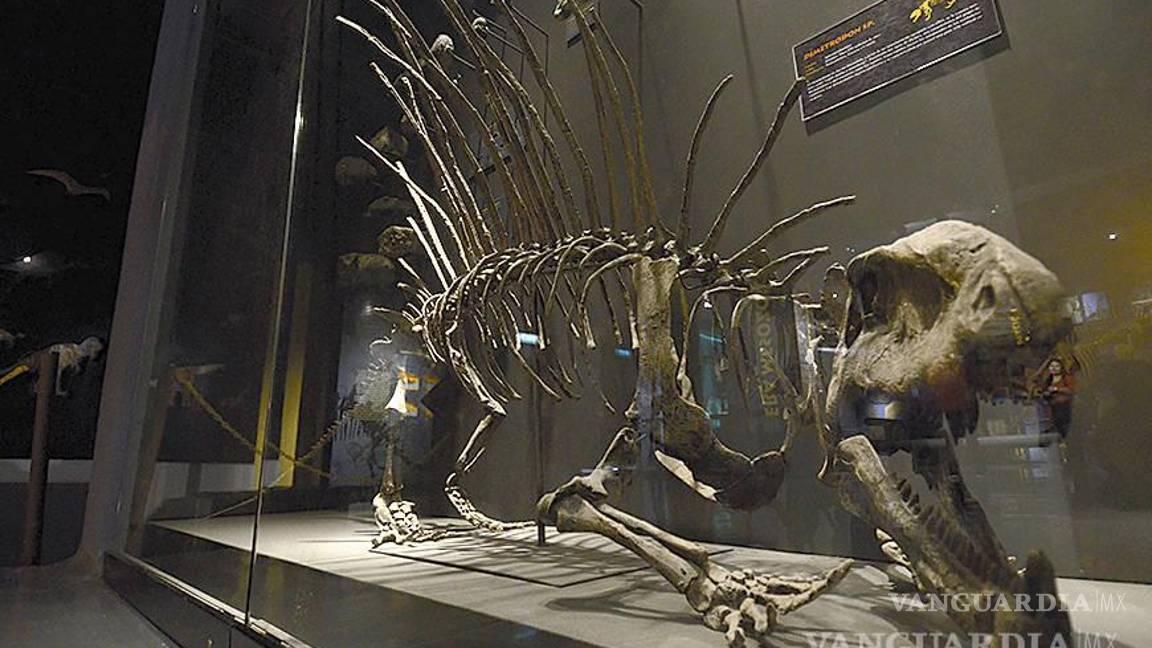 $!Esta investigación permitirá conocer más detalles de la vida que tuvieron los dinosaurios en la región que hoy es Coahuila.