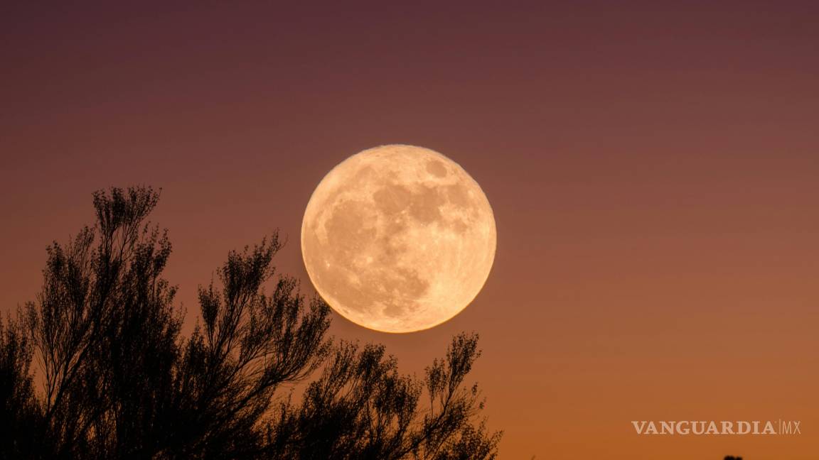 $!La Luna llena de julio 2025 tendrá lugar el próximo 10 de julio a las 4:17 a.m. (hora del centro de México).