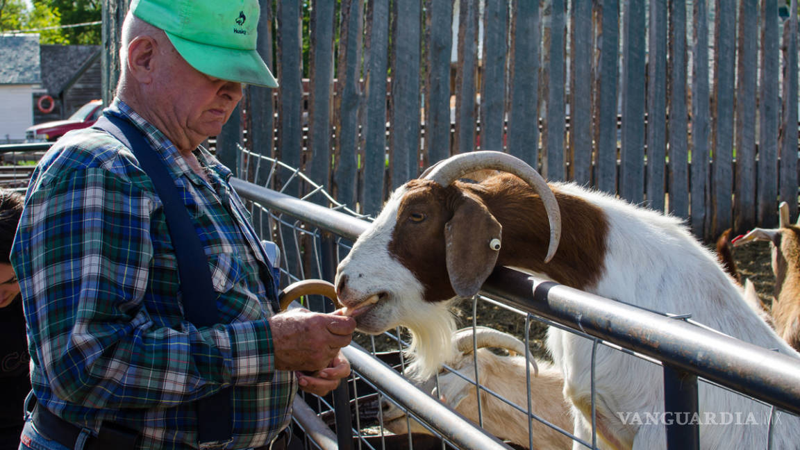 Canacintra Coahuila Sureste apoyará a los productores de leche de cabra