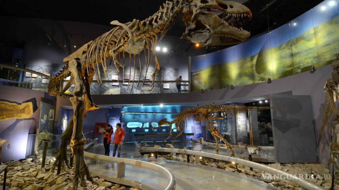 En Saltillo dinosaurios robotizados te esperan en la Feria del museo del Desierto
