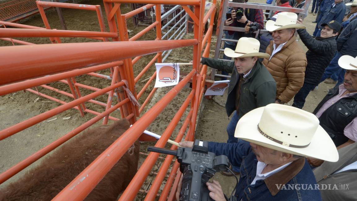 $!Las Mangas tendrá su purificadora