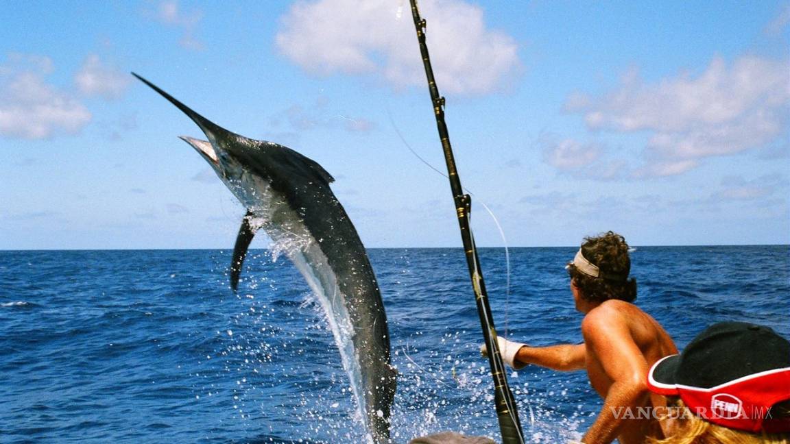 Partido Verde propone prohibir la pesca deportiva
