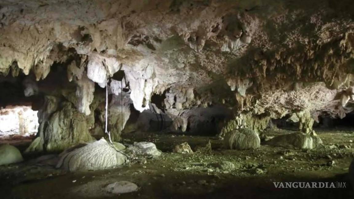 Sedena podría pagar hasta 44 mdp en monitoreo de cenotes y lagunas