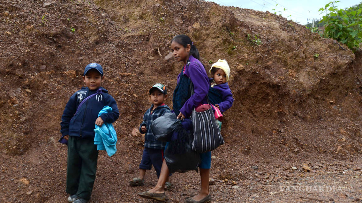 Familias mexicanas no alcanzan los beneficios de mejora económica: OCDE