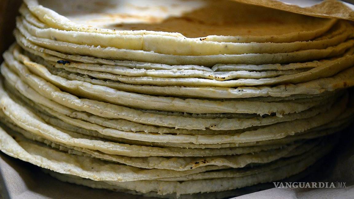 Propuesta revelaría si la tortilla que consumes es 100% natural