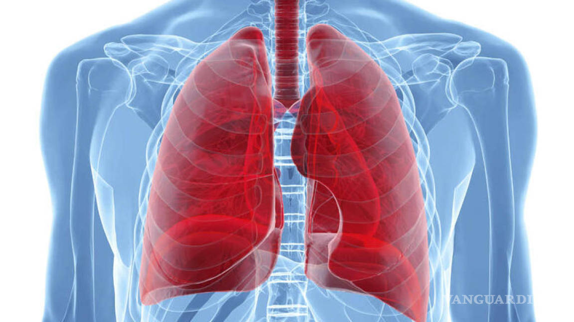 $!Microplásticos podrían alterar la función celular de nuestros pulmones