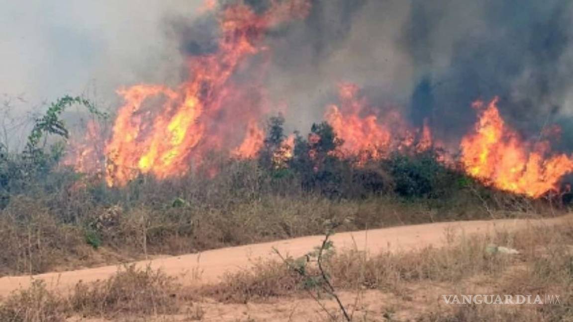 $!Bolsonaro reclama a gobernadores por falta de apoyo en lucha contra incendios en el Amazonas
