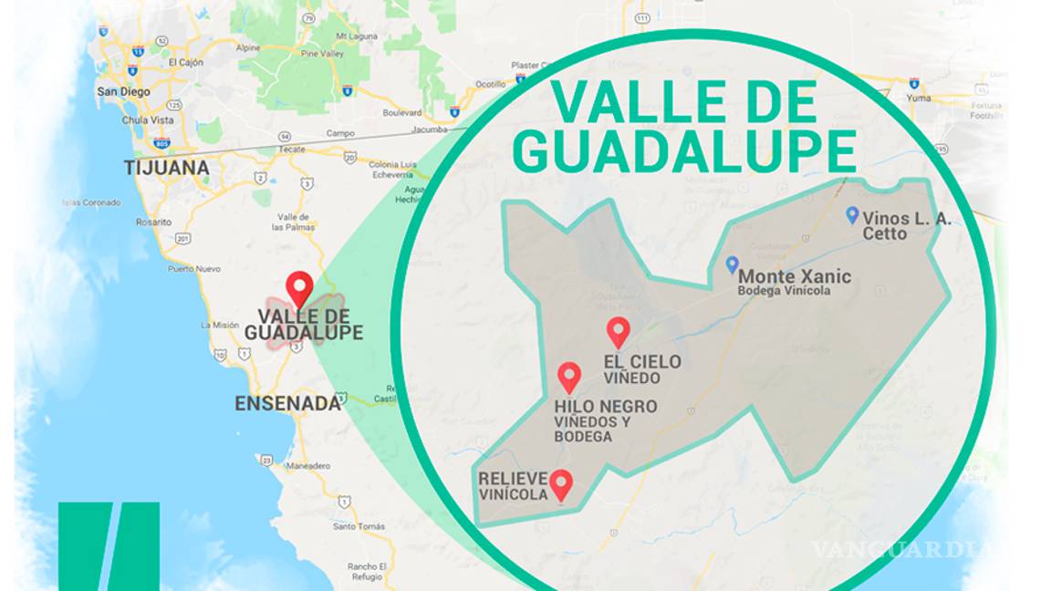 $!Salieron políticos 'buenos' (y vivos) para el vino: aprovechan apoyos federales para sus viñedos