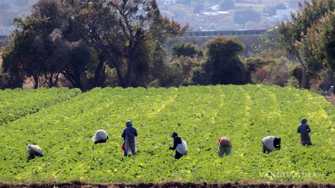 $!Candidatos a la gubernatura de Coahuila olvidan al campo en sus propuestas