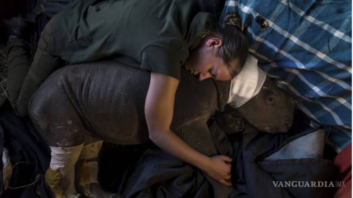 $!Las fotos ganadoras del World Press Photo 2017