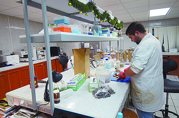 $!Crean en Ciencias Químicas de la UAdeC biocombustible sustituto de la gasolina