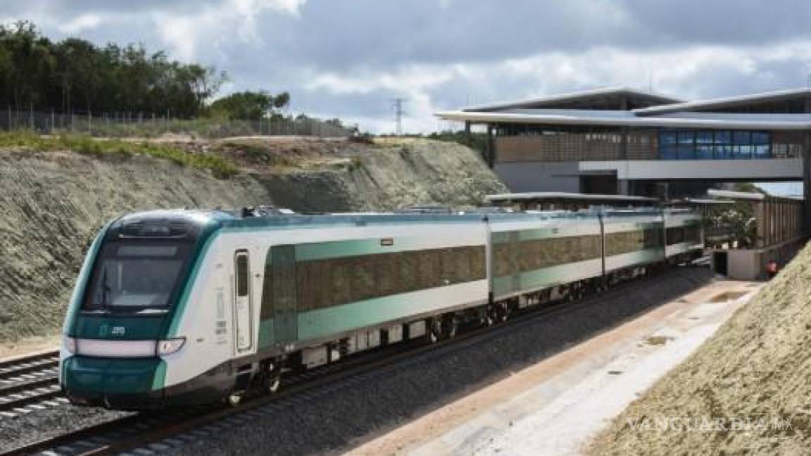 Vigilarán impacto ambiental del Tren Maya