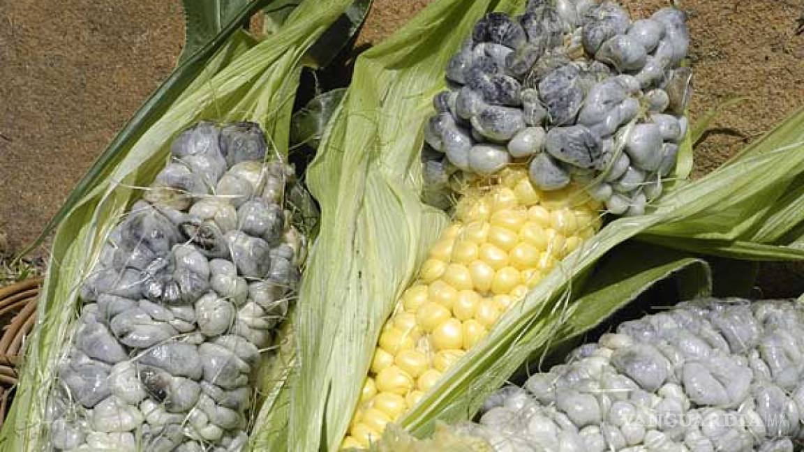 Huitlacoche podría ayudar a controlar la diabetes