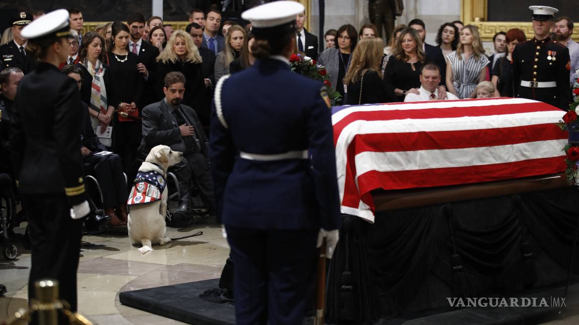 $!Sully, el perro del expresidente George H. W. Bush se despide de su amo (Fotogalería)