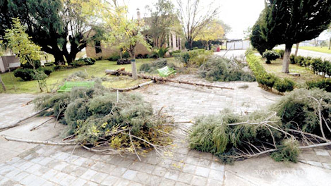 $!El Venustiano Carranza, ¿basurero o parque deportivo?