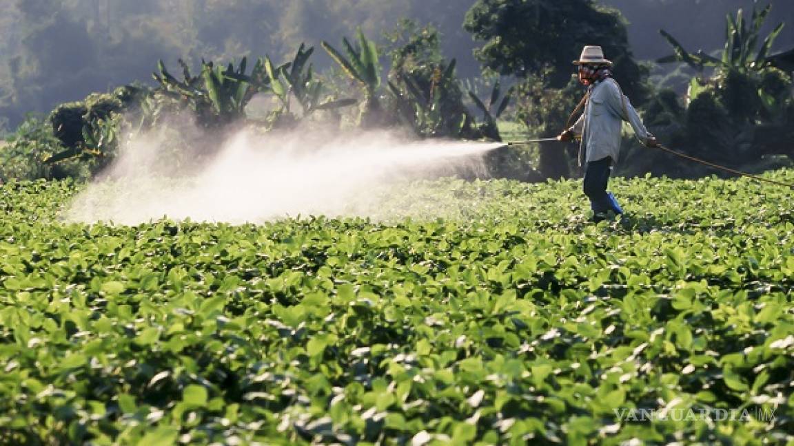 México debe reducir el uso de plaguicidas altamente peligrosos, sugieren