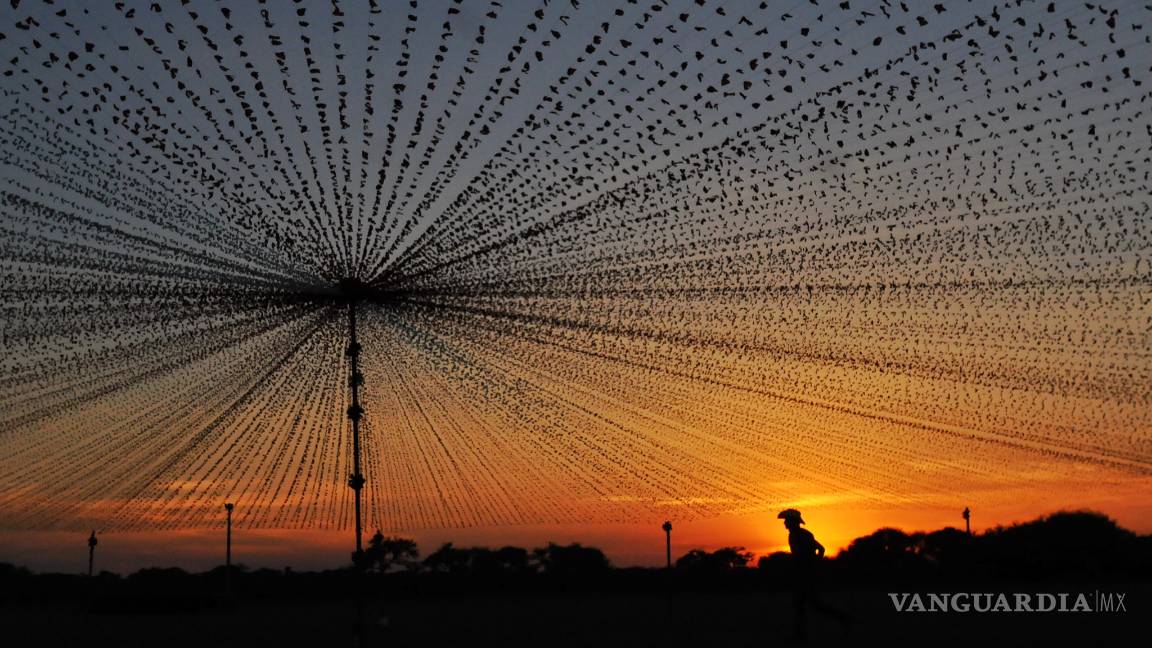 $!Se respira la fiesta en la comunidad de La Joya a unas horas de los XV años de Rubí