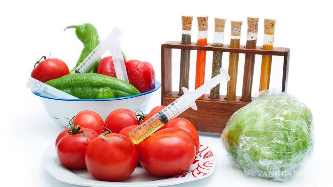 $!Transgénicos, del laboratorio al plato