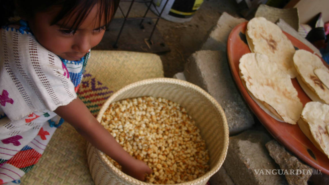 Favorece tortilla de maíz desarrollo infantil: experto
