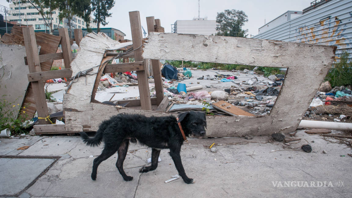 15 impactantes videos a un año del terremoto del 19 de septiembre