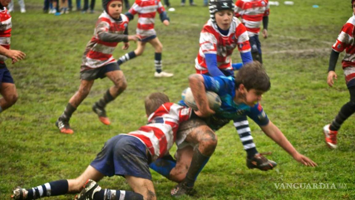 Médicos ingleses piden que las escuelas prohíban las tecleadas en el rugby