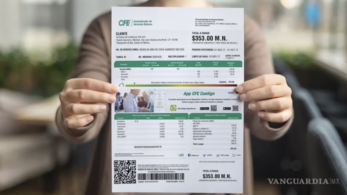 $!La CFE no cuenta con tarifas reducidas específicas para grupos vulnerables como ocurre con otros servicios o programas sociales.