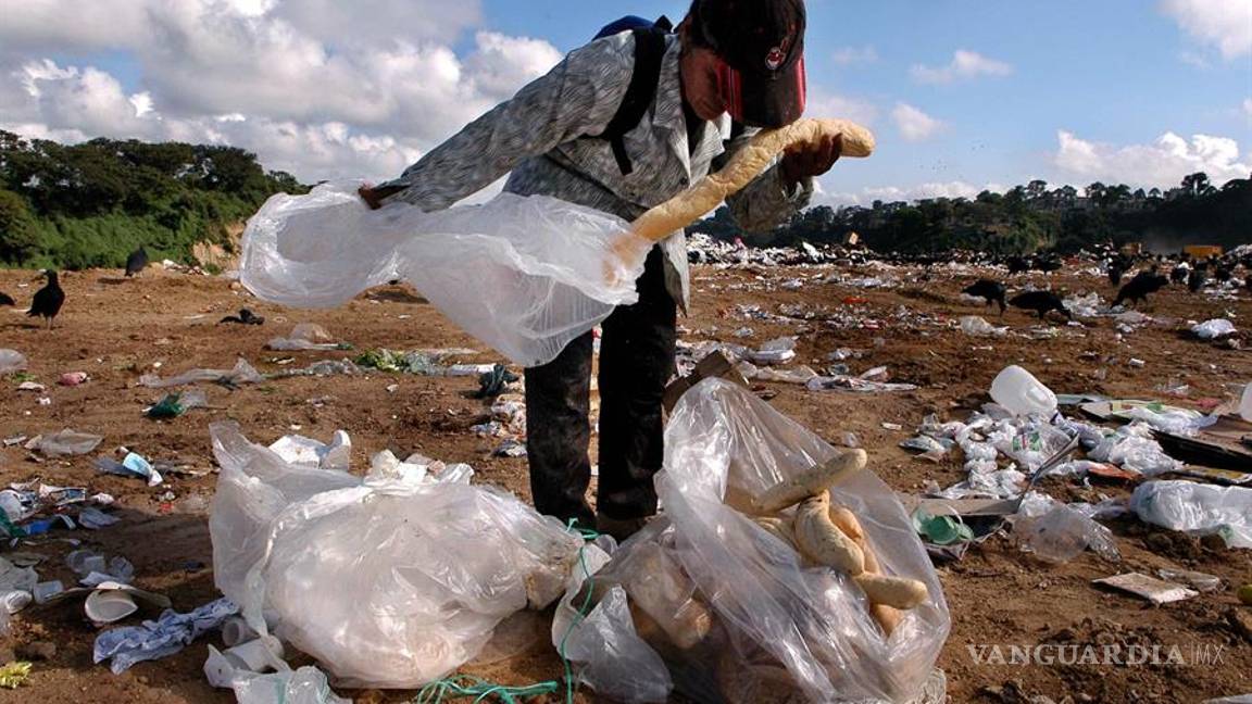 $!En América se desperdician 127 millones de toneladas de alimentos mientras crece el hambre