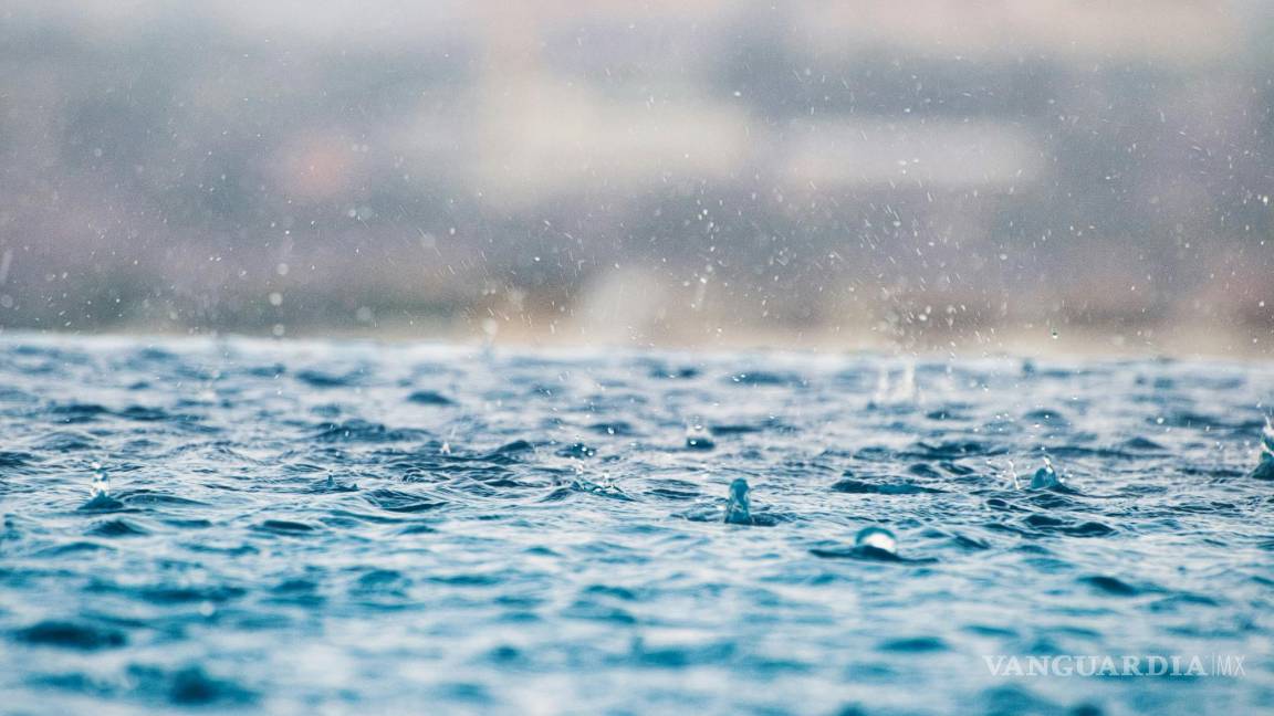 $!Si bien la geosmina es el componente principal del petricor, otros elementos contribuyen a su complejidad aromática.