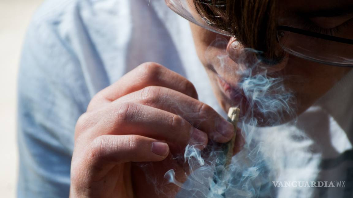 Esta semana Senado discutirá la despenalización de la mariguana