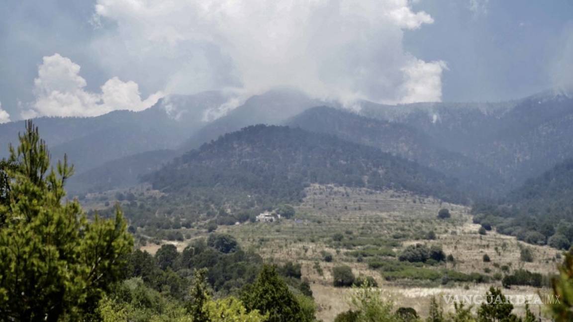 Se ha controlado 40% del incendio en Arteaga; más de 800 hectáreas se han visto afectadas