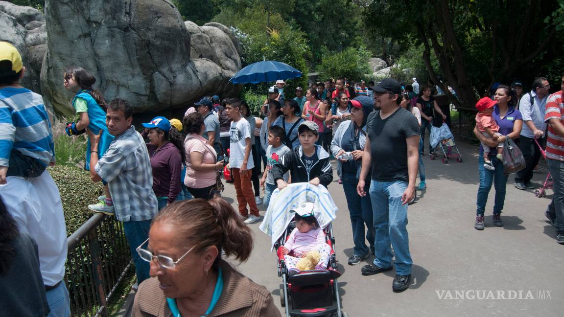 $!Mancera buscará a Peña Nieto este lunes para discutir temas ambientales de la CDMX