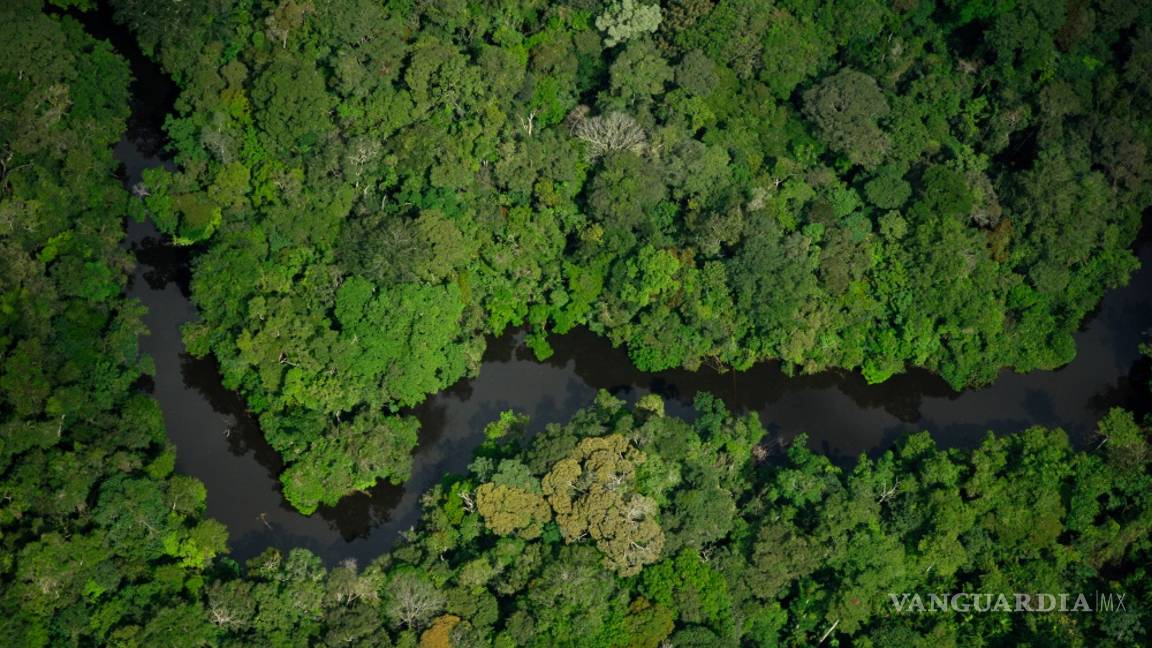 $!Temer autoriza la explotación minera en una enorme reserva amazónica