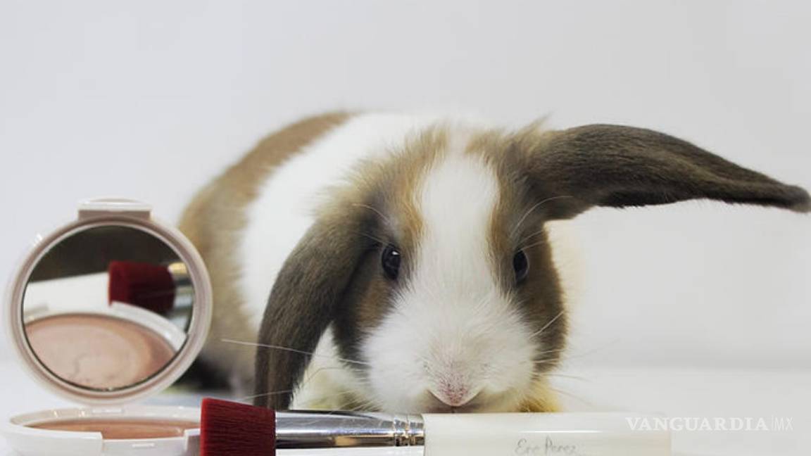 $!Belleza vegana, el futuro de la cosmética