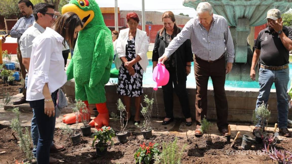 Instalan jardín polinizador en la explanada de la Presidencia Municipal de Saltillo