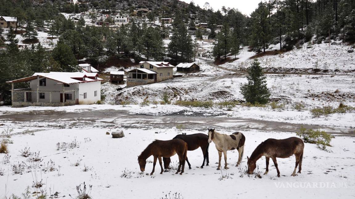 Persiste ambiente frío en México; así como caída de aguanieve o nieve en sierra de Coahuila