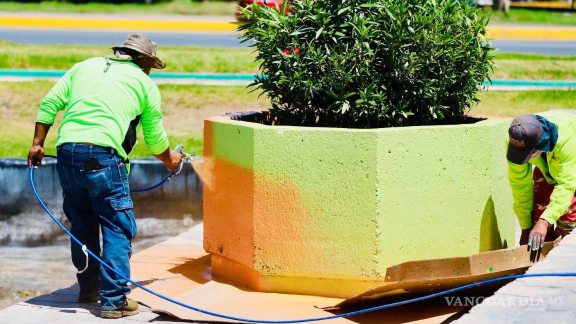 $!Con pintura y mantenimiento a las plantas se da vida a las áreas verdes de la ciudad.