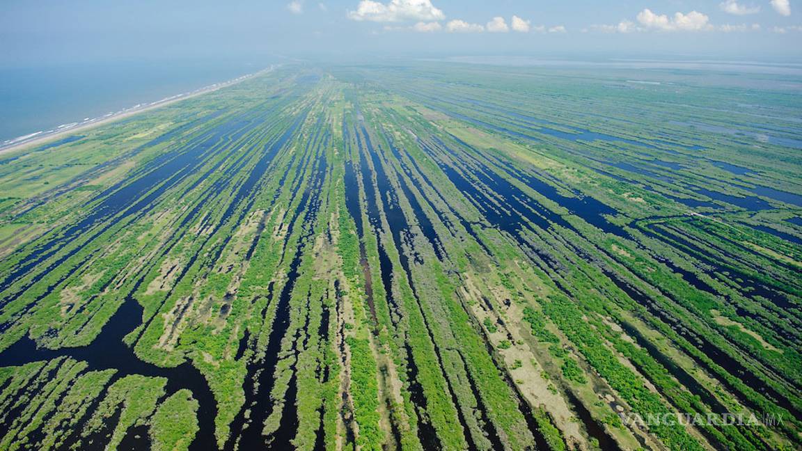 $!Marismas Nacionales podría sufrir devastación como Tajamar