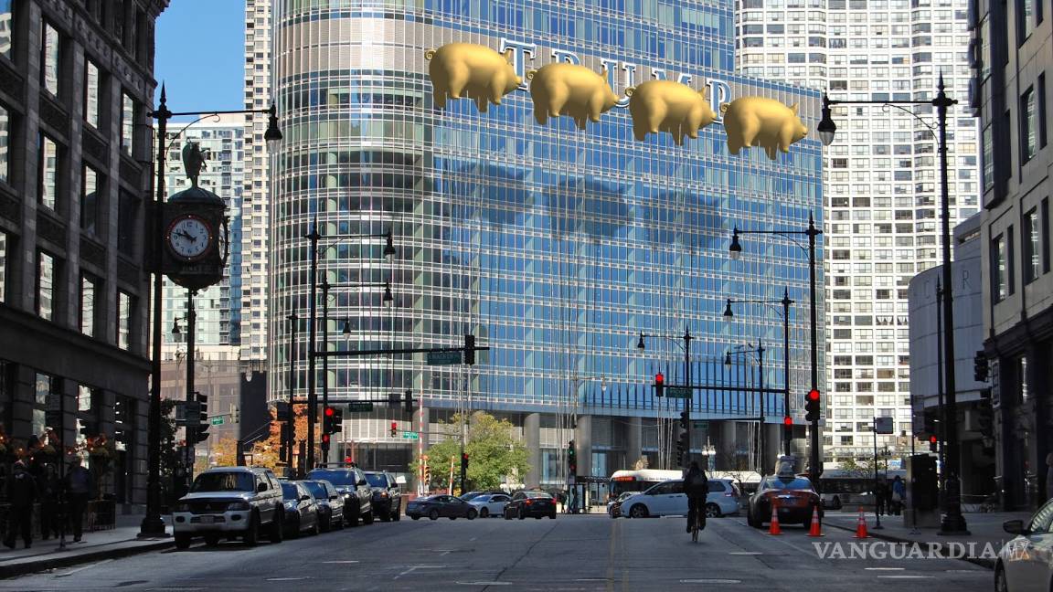 $!Buscarán cubrir el nombre de Trump con cerdos dorados