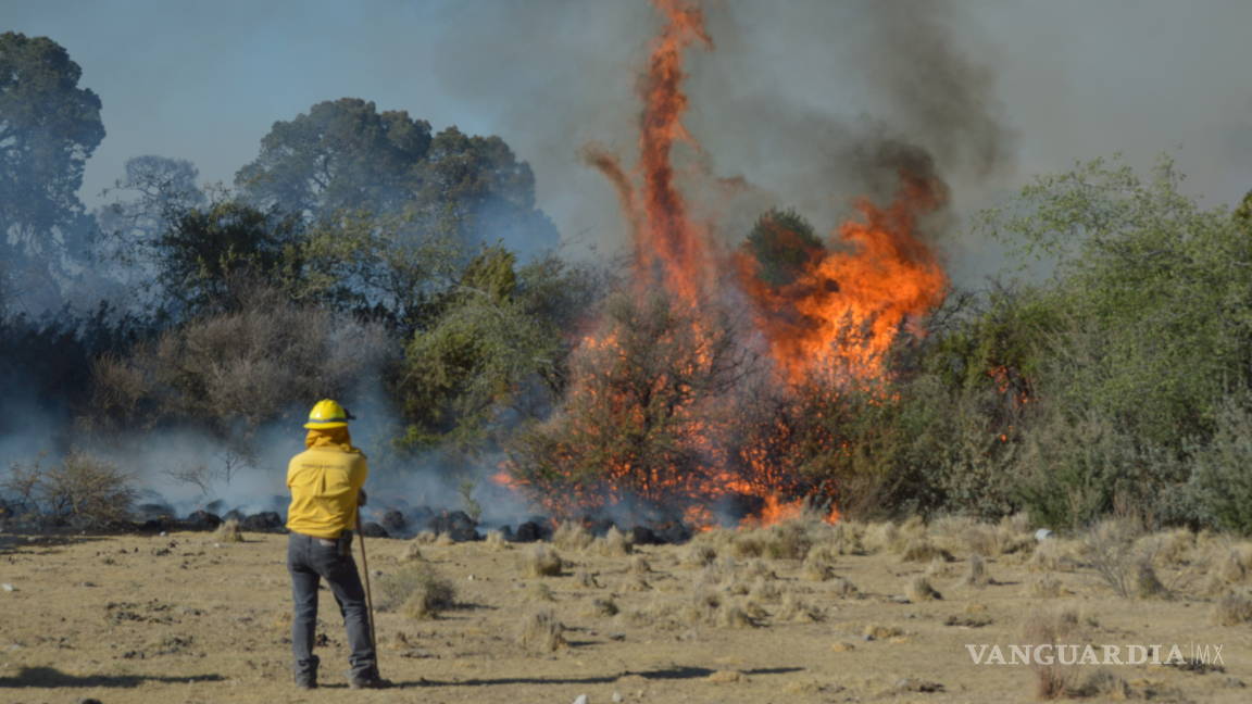 Combaten 100 brigadistas incendio forestal al sur de Saltillo
