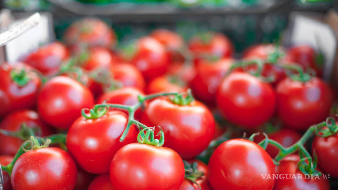 Productores piden retirar arancel al tomate mexicano