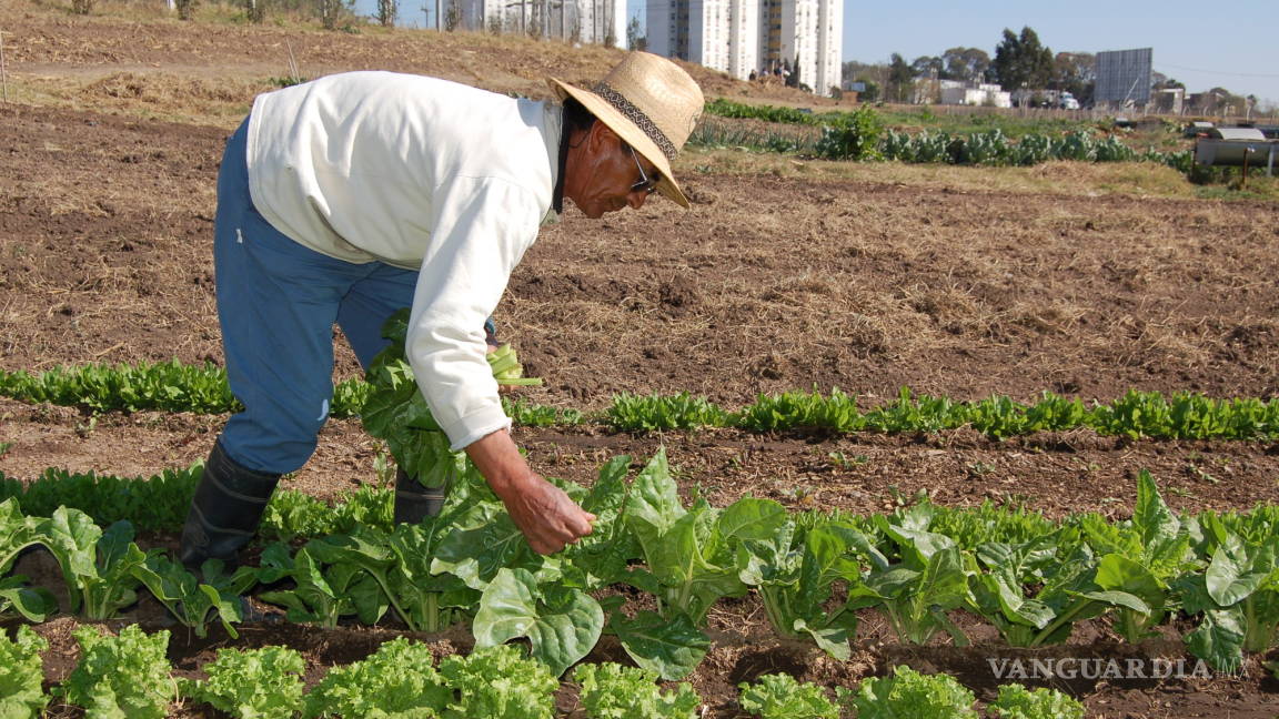 El gremio agronómico volverá a ser el “motor que impulse el desarrollo del campo”